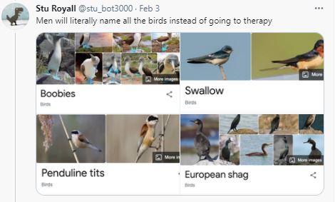 Birds - Ornithologists - Men Need Therapy.JPG